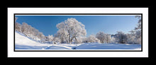 Rothbury snow 1 Ref-PC1078