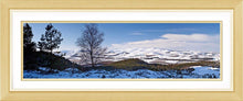 Thrunton Woods snow 2 Ref-PC345