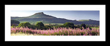 Rosebury Topping Ref-PC262