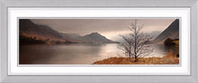 Crummock Water tree Ref-PC347