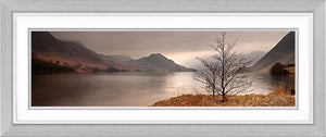 Crummock Water tree Ref-PC347