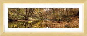 Plessey Woods 2 Ref-PC150