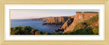 Fancove Head 3 Ref-PC1074