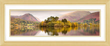 Grasmere trees Ref-PC1027