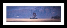 Borrowdale morning 3  Ref-PC2383