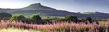 Rosebury Topping Ref-PC262