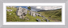 Ingleborough limestone Ref-PC245