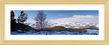 Thrunton Woods snow 2 Ref-PC345
