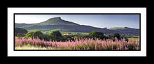 Rosebury Topping Ref-PC262