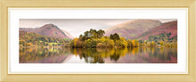 Grasmere trees Ref-PC1027