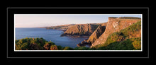 Fancove Head 3 Ref-PC1074