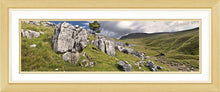 Ingleborough limestone Ref-PC245