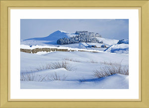 Steel Rigg snow 1 Ref-SC2094