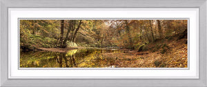 Plessey Woods 2 Ref-PC150