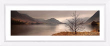 Crummock Water tree Ref-PC347