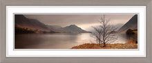 Crummock Water tree Ref-PC347