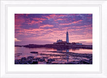 Saint Mary's purple dawn Ref-SC2084