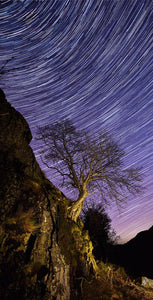 Rannerdale tree Star Trails Ref-SC2425