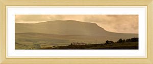 Pen-y-ghent dawn 217 Ref-PC217