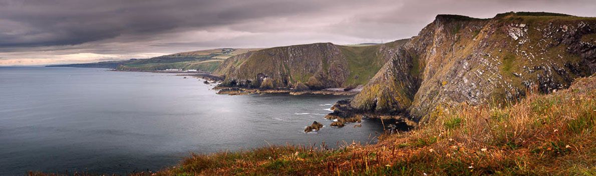 Fancove Head Ref-PC1009