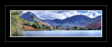Buttermere Pines 1 Ref-PC2372