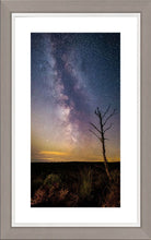 Thrunton tree Milky Way 2 Ref-SC2401