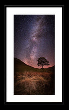 Sycamore Gap Milky Way Ref-SC2339