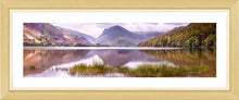 Buttermere grass 2 Ref-PC2320