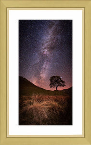 Sycamore Gap Milky Way Ref-SC2339