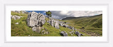 Ingleborough limestone Ref-PC245