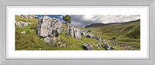 Ingleborough limestone Ref-PC245