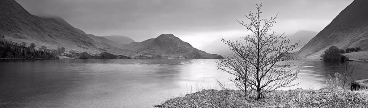 Crummock Water tree Ref-PBW347