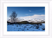 Winter Cheviots Ref-SC2118