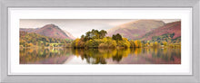 Grasmere trees Ref-PC1027
