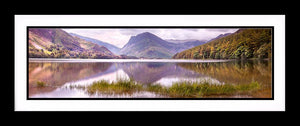 Buttermere grass 2 Ref-PC2320