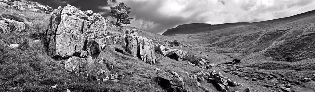 Ingleborough Limestone Ref-PBW245
