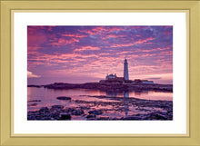 Saint Mary's purple dawn Ref-SC2084