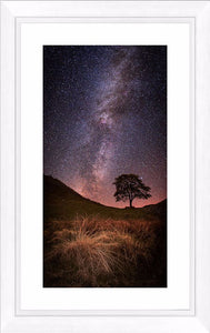 Sycamore Gap Milky Way Ref-SC2339