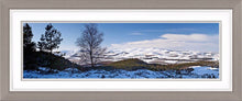 Thrunton Woods snow 2 Ref-PC345