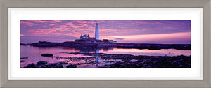 Saint Marys purple dawn 2 Ref-PC284