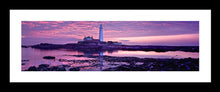 Saint Marys purple dawn 2 Ref-PC284