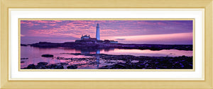 Saint Marys purple dawn 2 Ref-PC284