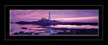 Saint Marys purple dawn 2 Ref-PC284