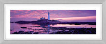 Saint Marys purple dawn 2 Ref-PC284