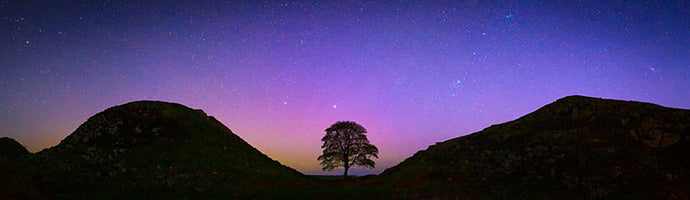 Sycamore Gap aurora Ref-PC2463