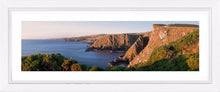 Fancove Head 3 Ref-PC1074