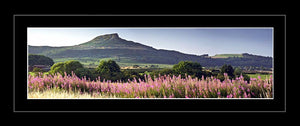 Rosebury Topping Ref-PC262