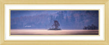 Borrowdale morning 3  Ref-PC2383