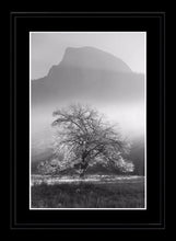 Yosemite Valley 2 Ref-SBW2110
