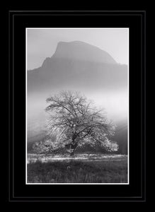 Yosemite Valley 2 Ref-SBW2110